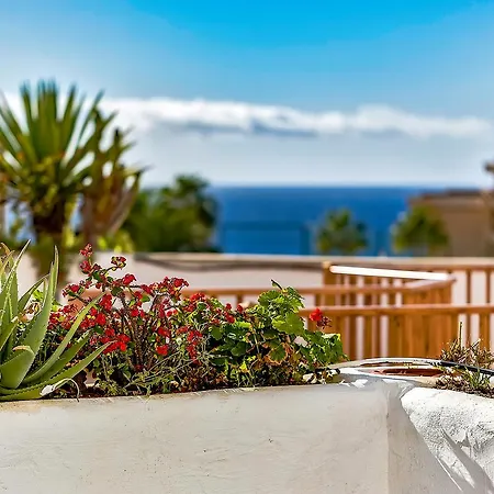 Apartment Parque Royal 1 &